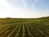 Governo prolonga apoios ao gas&oacute;leo agr&iacute;cola e aos pescadores